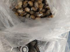-金刚山(学府路店)