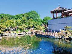 -中国唐苑