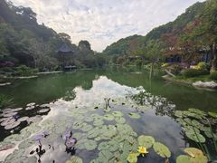 -云溪植物园