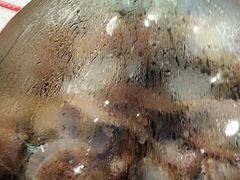 -前王院•巧克力海鲜市集餐厅(万平口店)