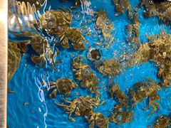 -大润发(康桥店)