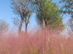 -汉长安城未央宫国家考古遗址公园