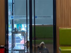 -北京派仕佳德动物医院·超导核磁·CT·神经科·骨科·内外科·急重症管理中心