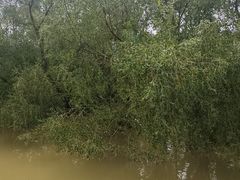 -崖口红树林海鲜餐厅