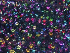 -上海梵高星空艺术馆(南京路旗舰店)