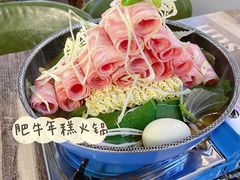 -猫头鹰炸鸡