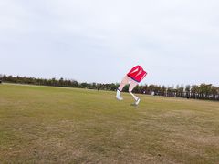 -春花秋色城市公园