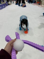 -Mr·Kuma酷么先生雪之乐园