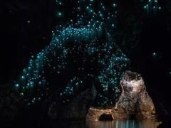 -怀托摩萤火虫洞