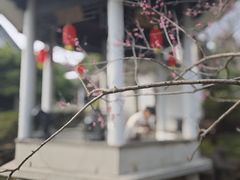 -无锡梅园公园