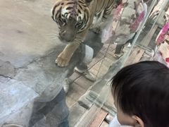 -南昌动物园