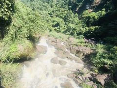 -赤水丹霞旅游区·大瀑布
