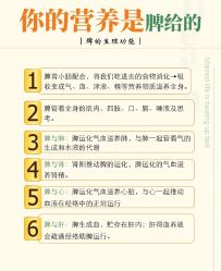 点击看大图 -慈蕊美容养生·专业经络调理