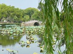 -无锡蠡湖国家湿地公园-蠡园