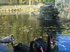 -北京市海淀外国语实验学校