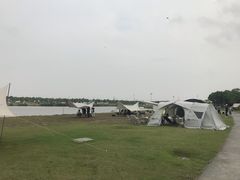 -春花秋色城市公园