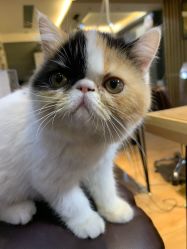 -沫儿·美甲美睫·半永久·皮肤管理