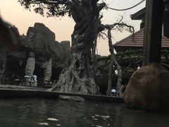 -裕龙汤泉