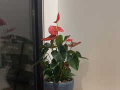 -荷风细雨·中国茶宴(碧云店)