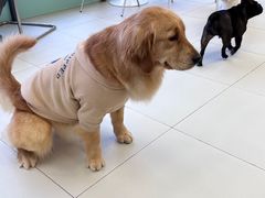-怪兽屋·羊驼·猫咖·狗咖(俊华广场店)
