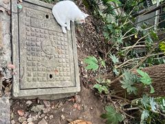 -狼山风景名胜区