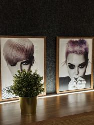 -Z.X HAIR SALON张新美业
