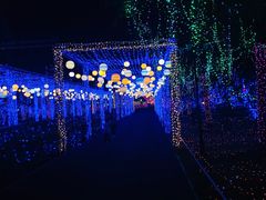 -歌斐颂巧克力小镇