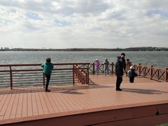 -丁香湖公园