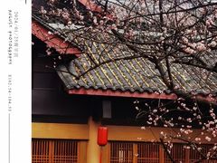 -青羊宫