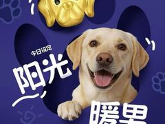 -金鹰(江宁店)