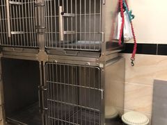 -安安宠医·安宠宠物医院