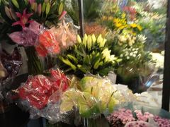 -靳晖金百合花艺GOLDENLILY(南院门店)