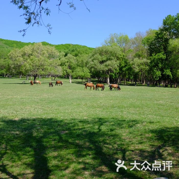 森工平山神鹿旅游区