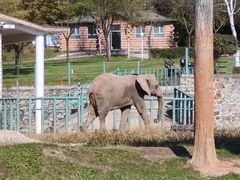 -哈尔滨北方森林动物园