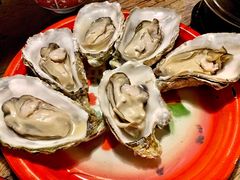 蒸汽生蚝-辉记炭烧海鲜大排档·老字号(福田店)