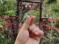 -呀诺达热带雨林