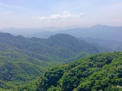 -大岭沟猕猴桃谷风景区