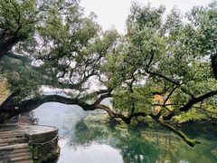 -上坦村