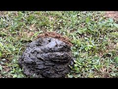 -天龙顶山地公园