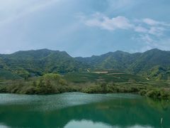 -龙坞茶村
