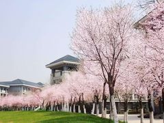 -南京晓庄学院(莫愁校区)