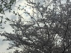 -济南植物园