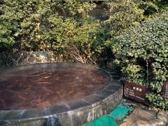 -仁爱团泊湖温泉中心