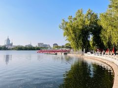 -莲花池公园