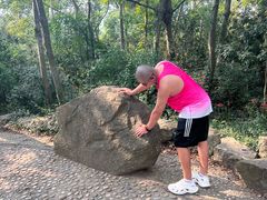 -上海佘山国家森林公园天马山园