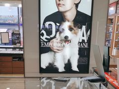-盛视视光中心(东中街店)