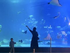 -烟台海昌鲸鲨海洋公园