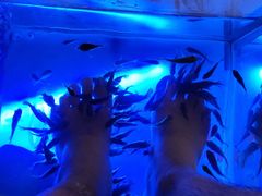 -汤连得温泉馆(宝山店)