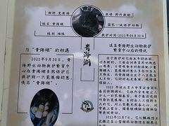 -青藏高原野生动物园
