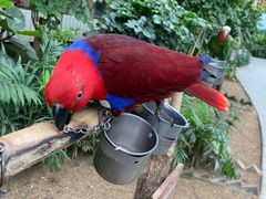 -南宫五洲植物乐园